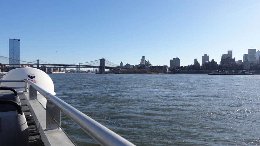 NYC_2024-02-06 09-15-41_RX_07581